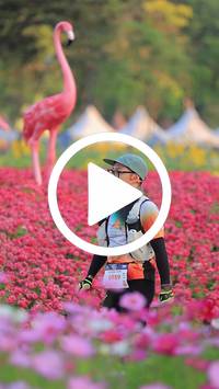 BIB:  <button type="button" onclick="openModal(27582965)" class="btn btn-primary btn-sm float-right" data-toggle="modal" data-target=".modal-high-quality">
                <i class="fa fa-download"></i> Download
                </button>